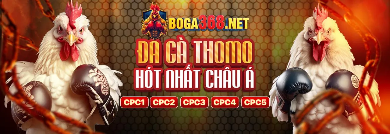Giao diện cá cược trực tiếp hiển thị tỷ lệ kèo thay đổi liên tục của ok3886 đăng nhập